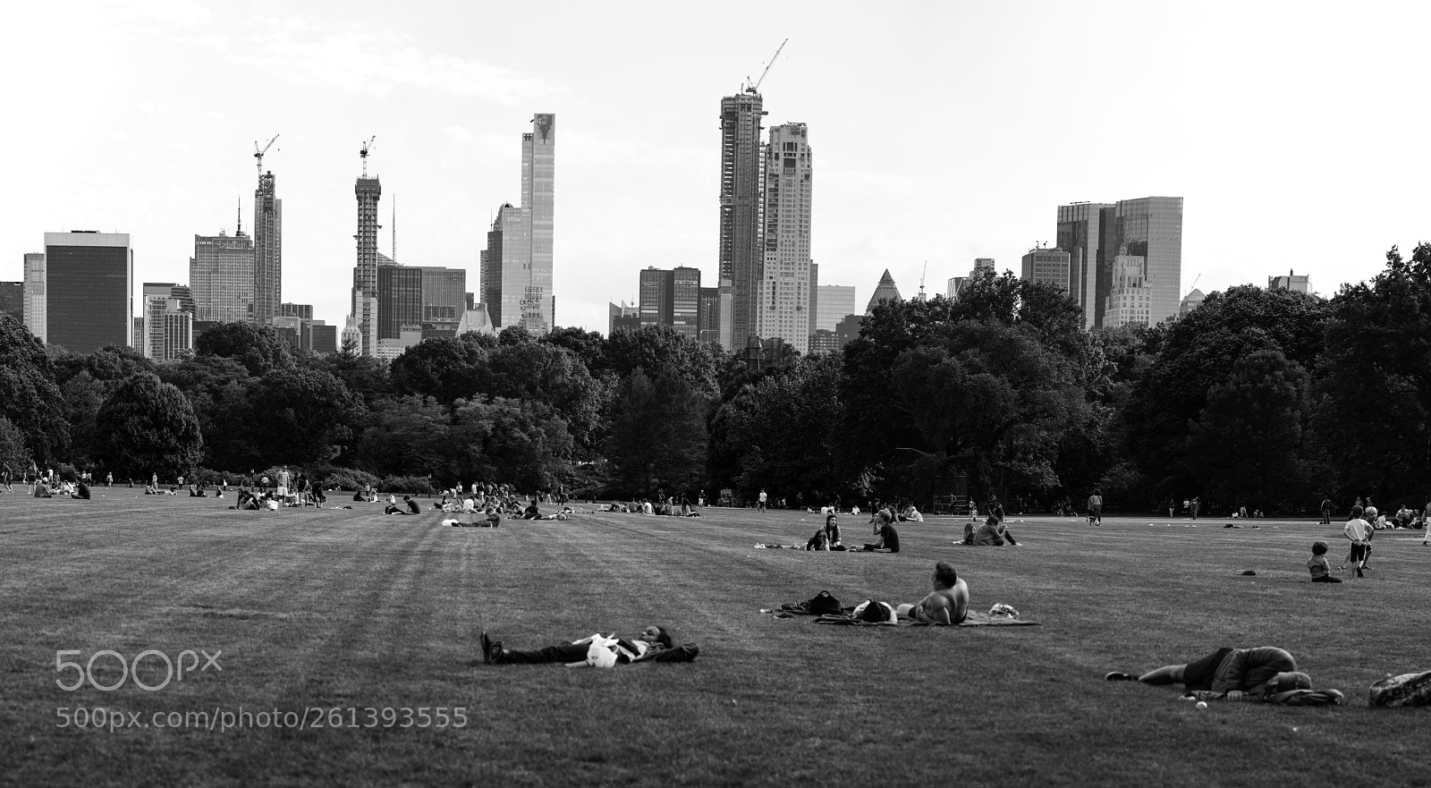Sony a7R II sample photo. The great lawn photography