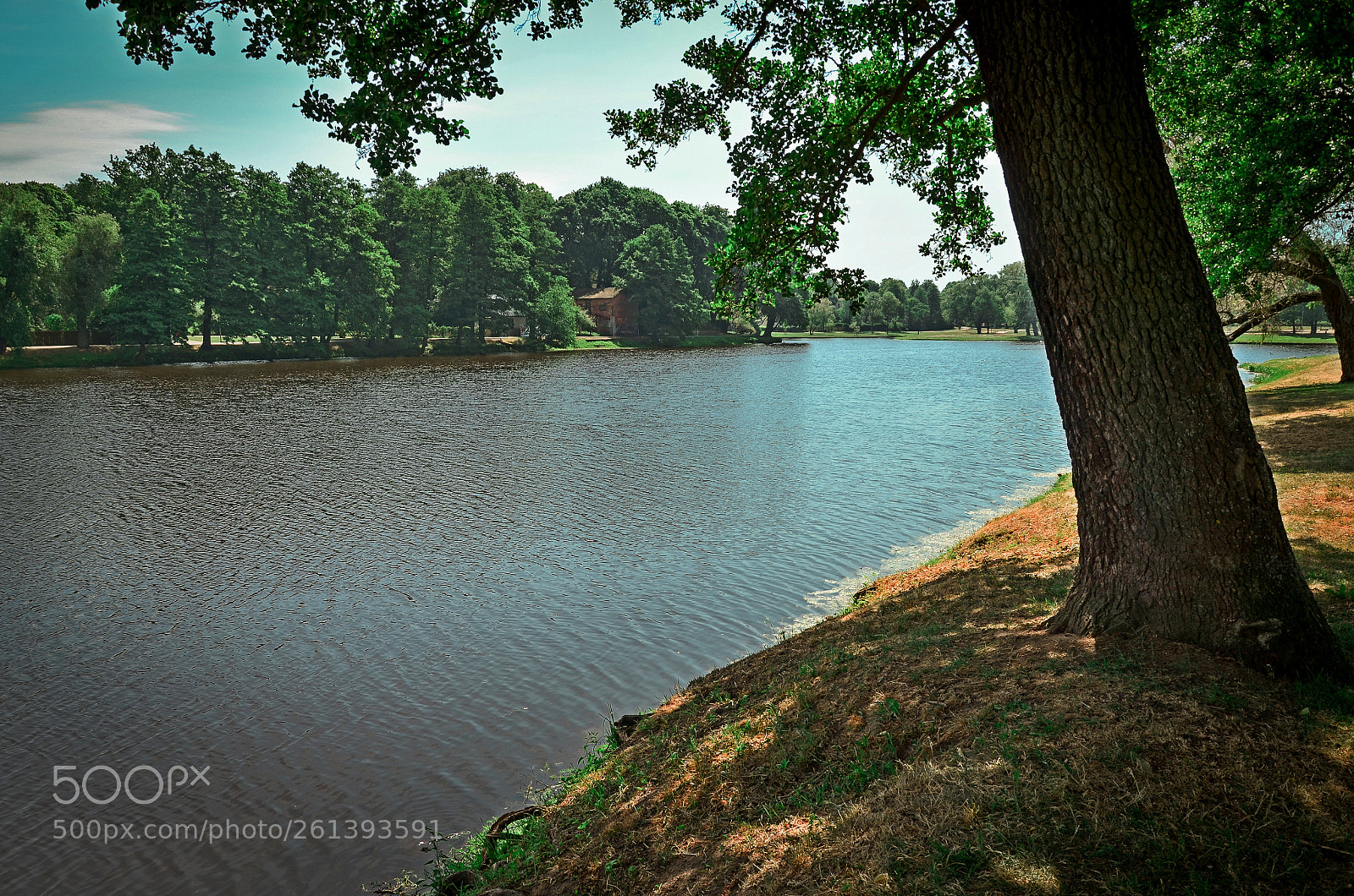 Nikon D5100 sample photo. Hot june photography