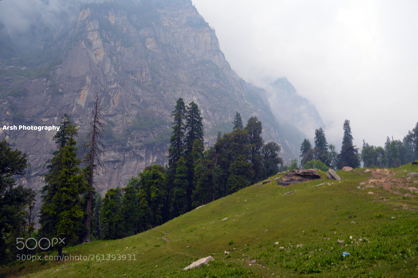 Nikon D3200 sample photo. Beautiful nature photography