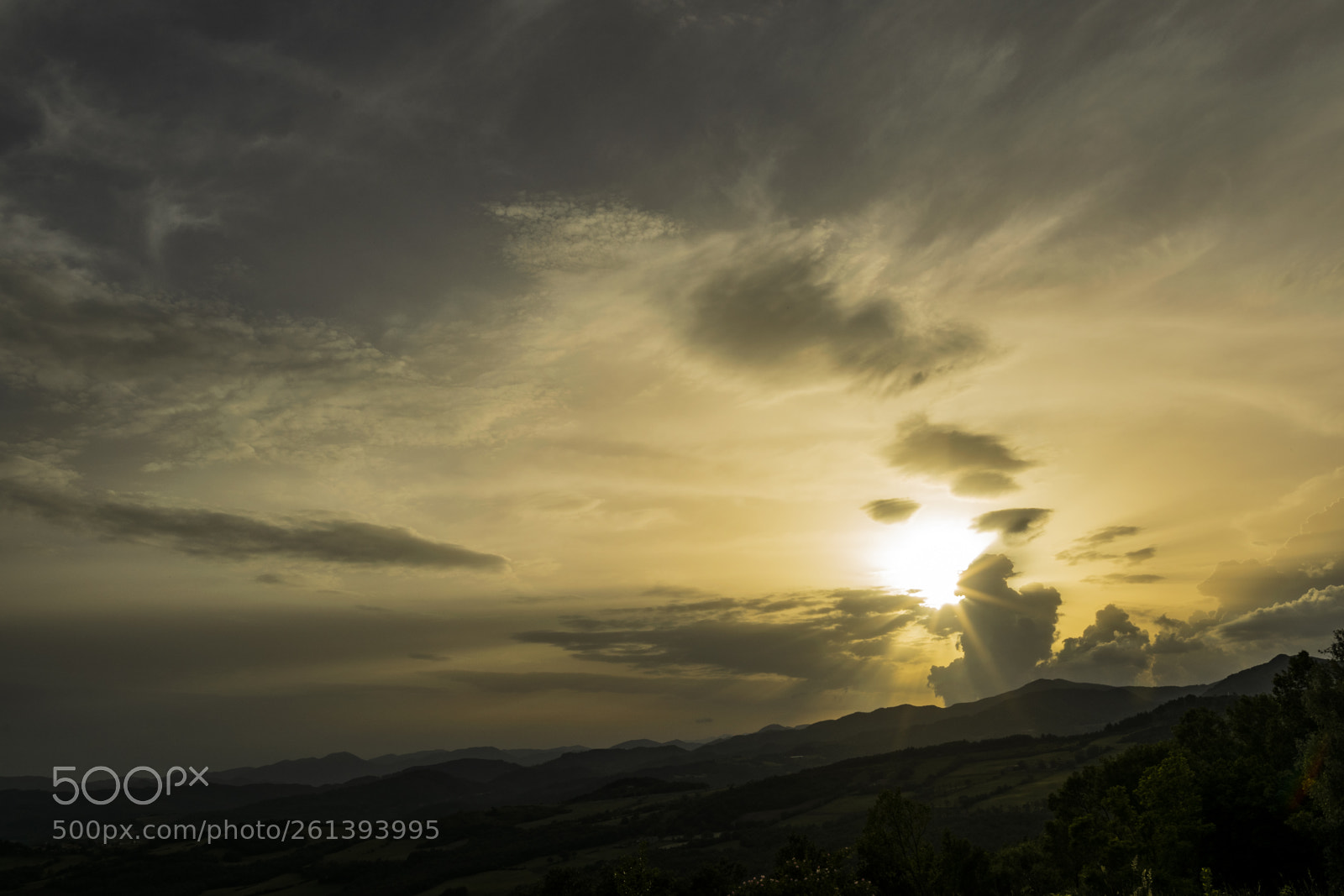Nikon D3300 sample photo. Sunset gold photography