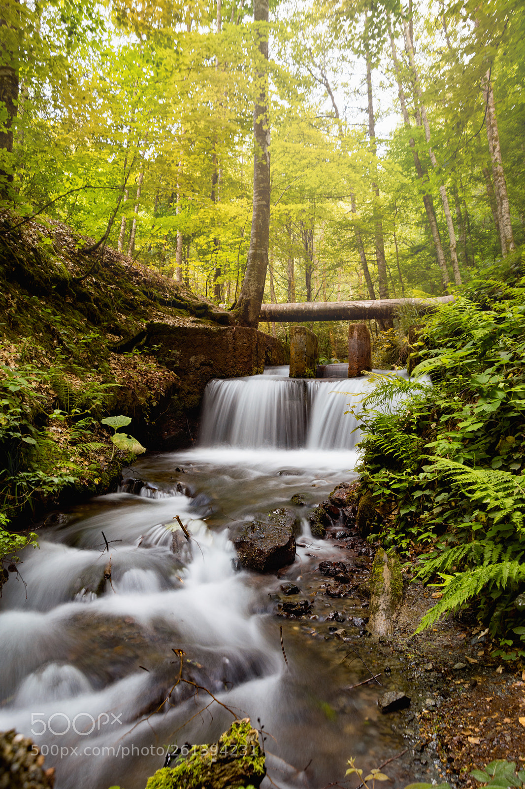 Nikon D5300 sample photo. Waterfall photography