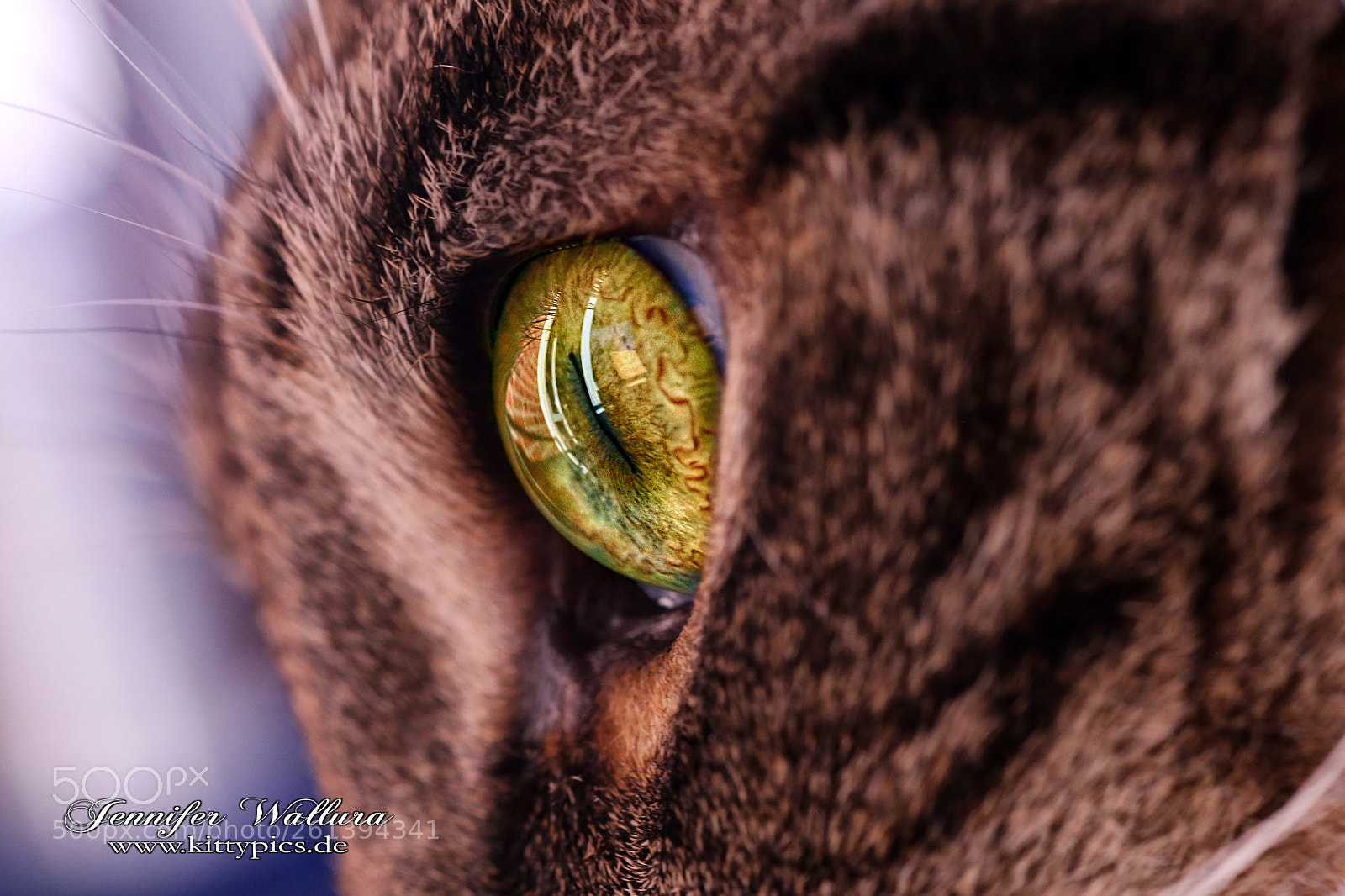 Canon EOS 6D sample photo. Reflections photography