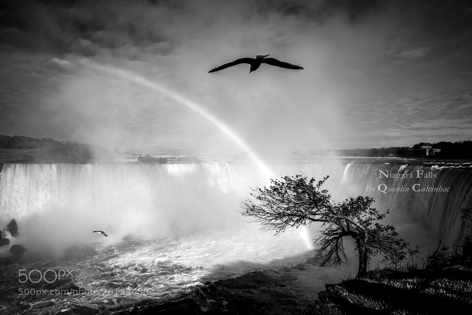 Nikon D800 sample photo. Over the rainbow photography