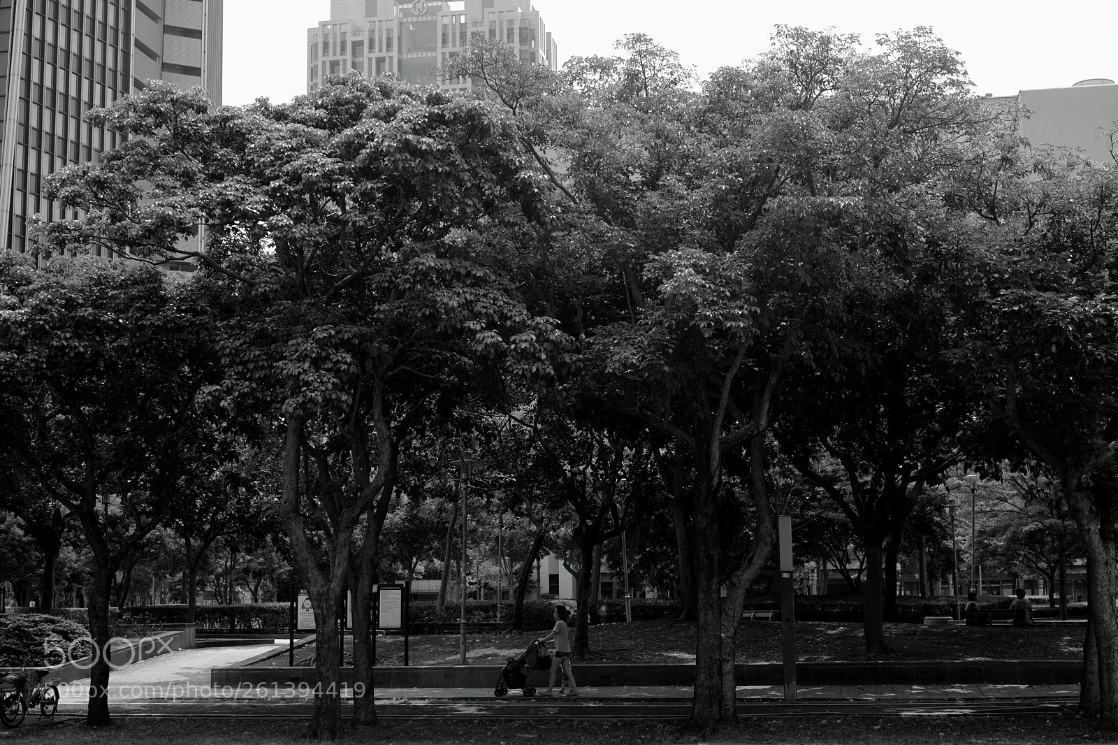Fujifilm X-T2 sample photo. Street trees@taipei, taiwan photography