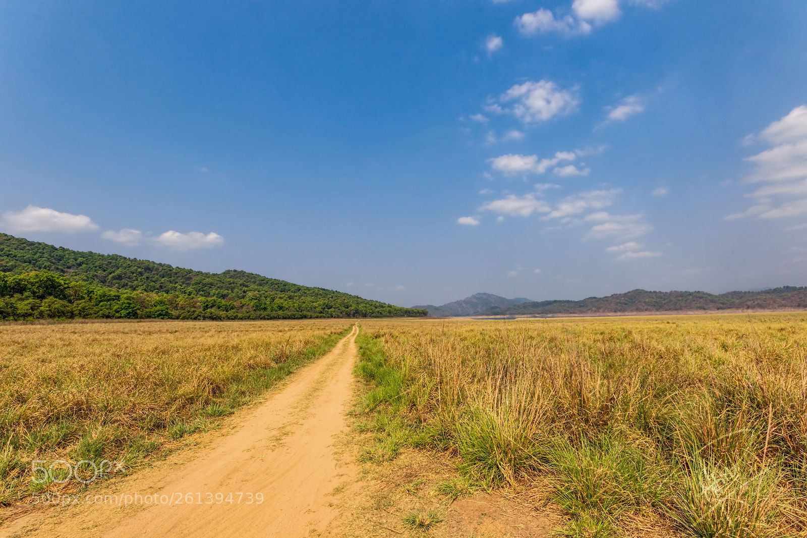 Canon EOS 7D Mark II sample photo. Roads less taken photography