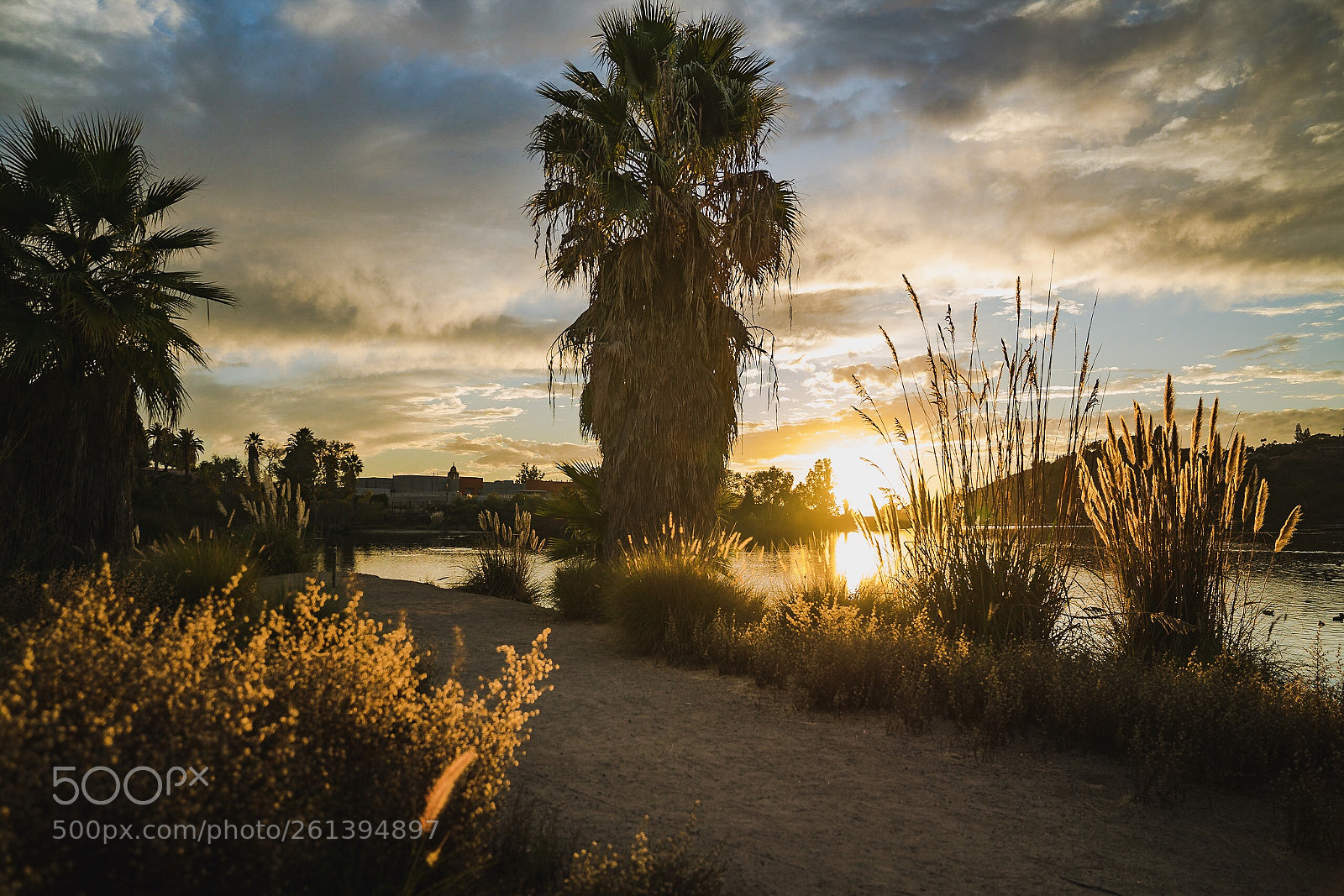 Sony a7R II sample photo. Lake side  photography