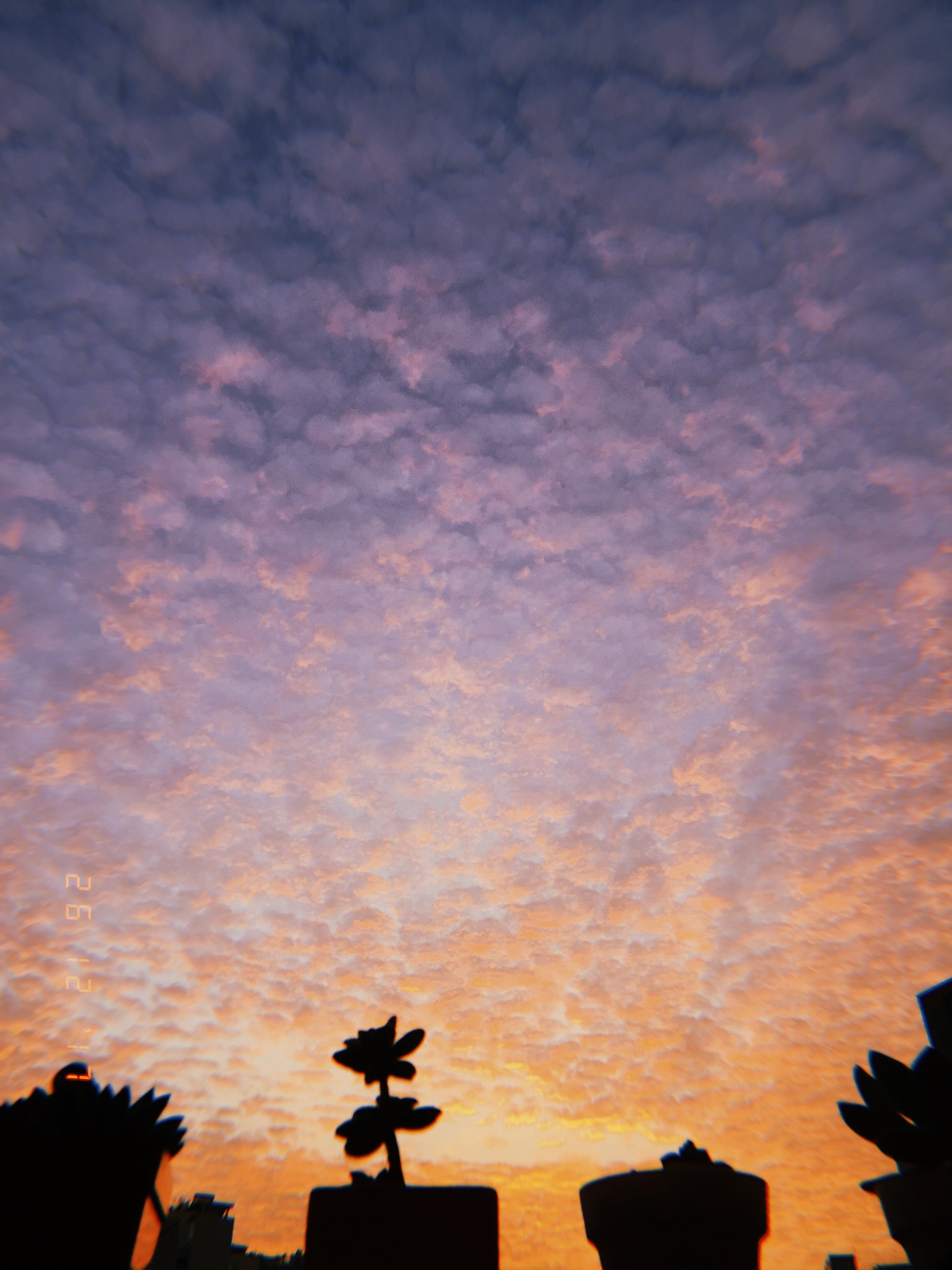 Apple iPhone sample photo. 天空 photography