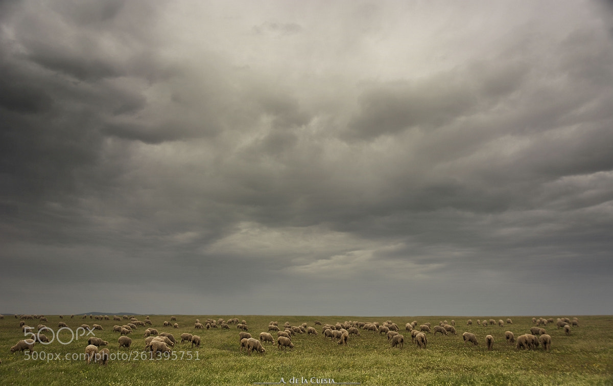Nikon D7100 sample photo. Biblical landscape photography