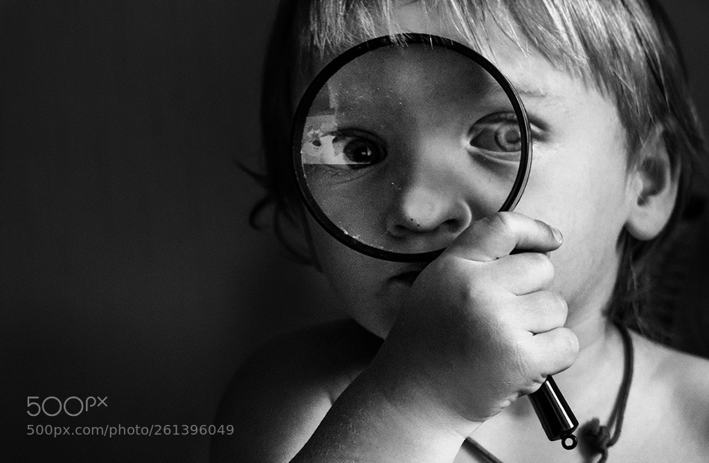 Nikon D750 sample photo. Untitled photography