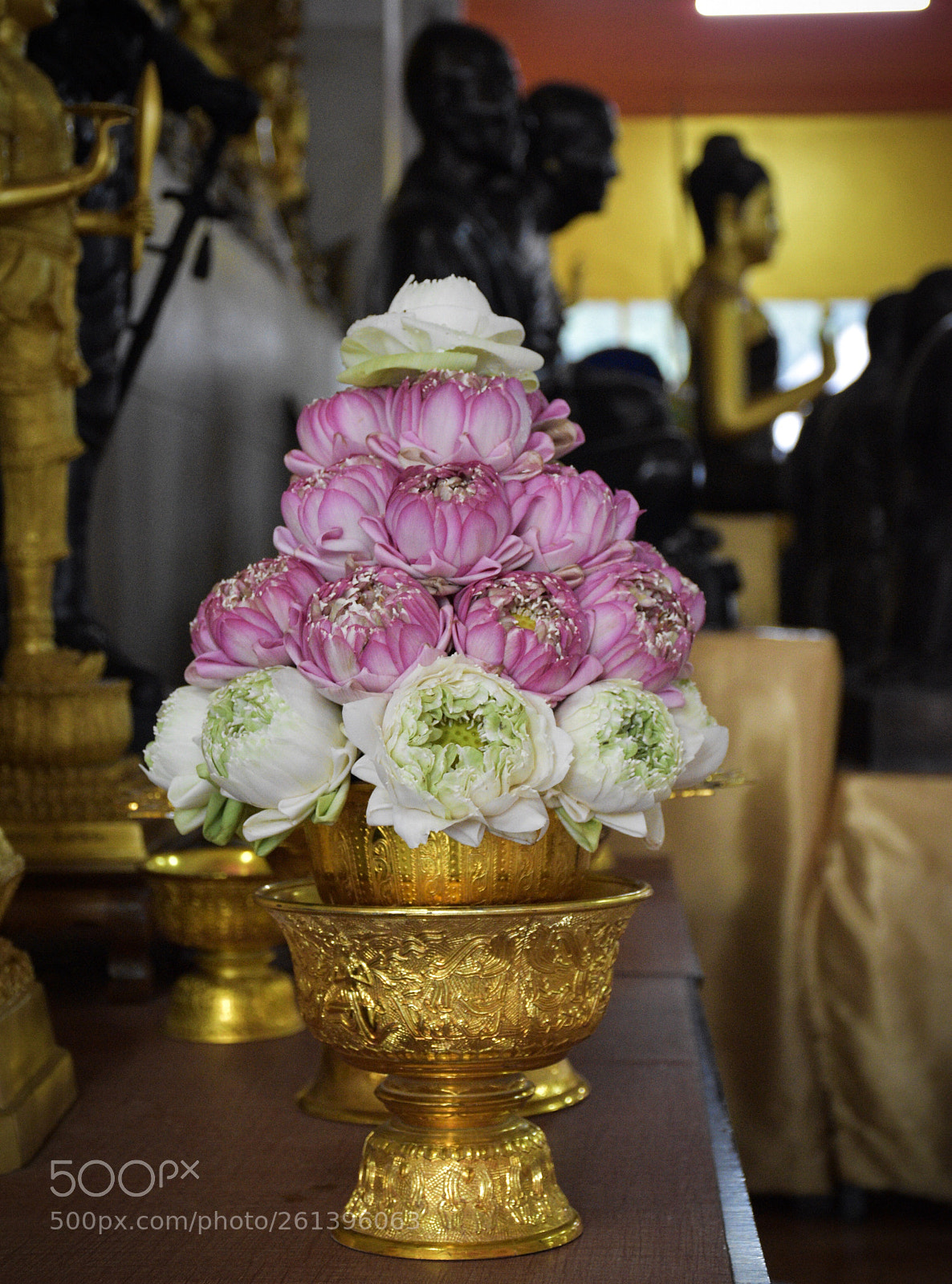 Nikon D5600 sample photo. Lotus arrangement  photography