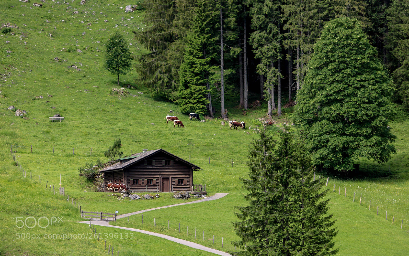 Canon EOS 750D (EOS Rebel T6i / EOS Kiss X8i) sample photo. Ein haus im gr photography