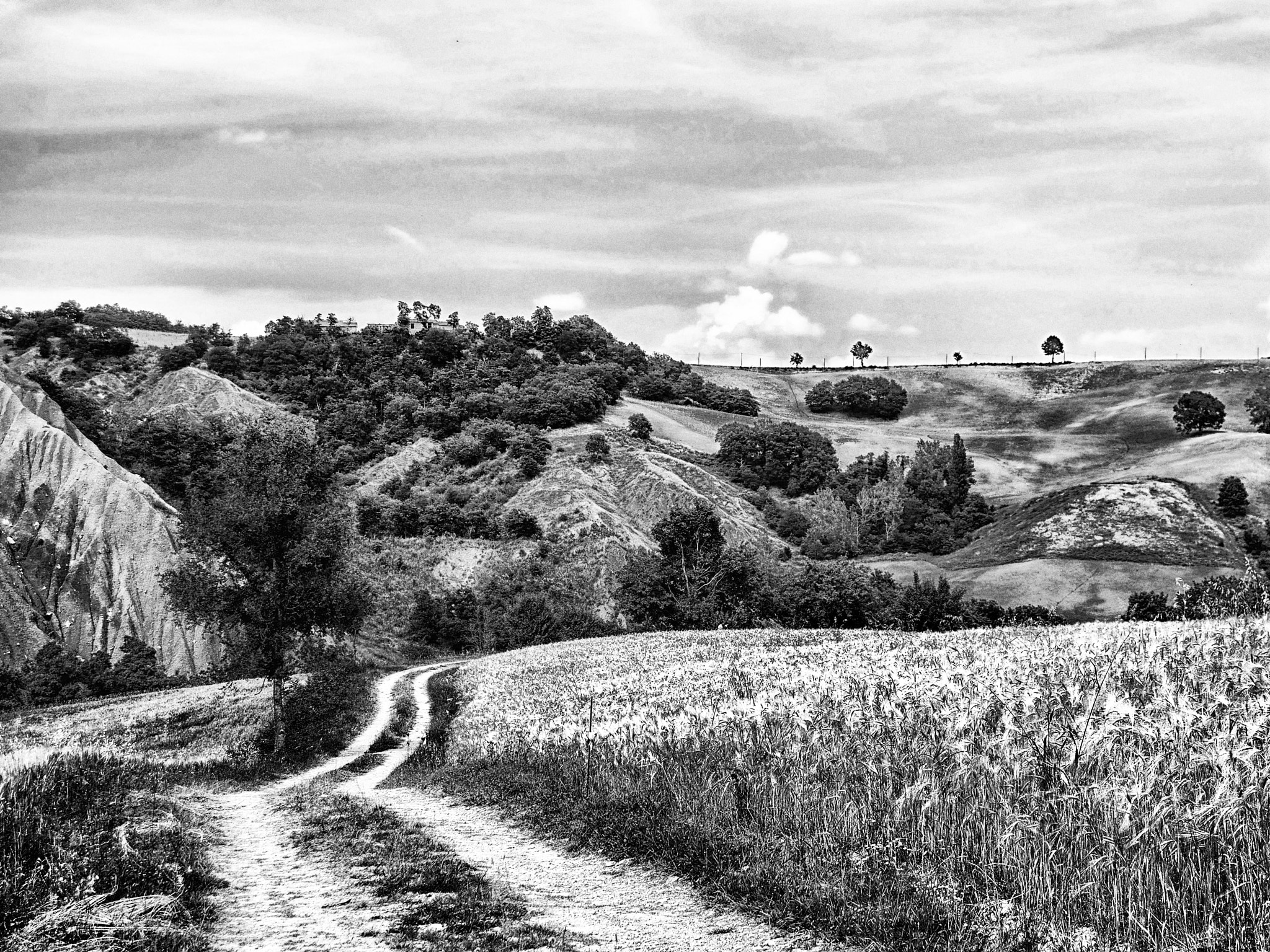 Nikon D5100 sample photo. Wheat in the hills photography