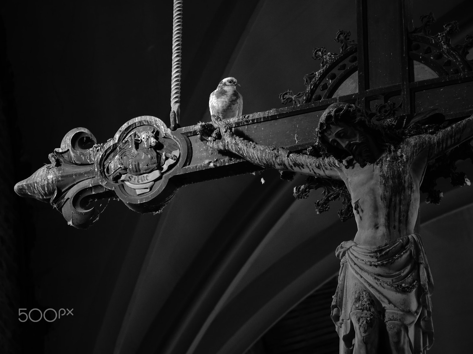 Panasonic Lumix DMC-G5 sample photo. Kruis+duif photography