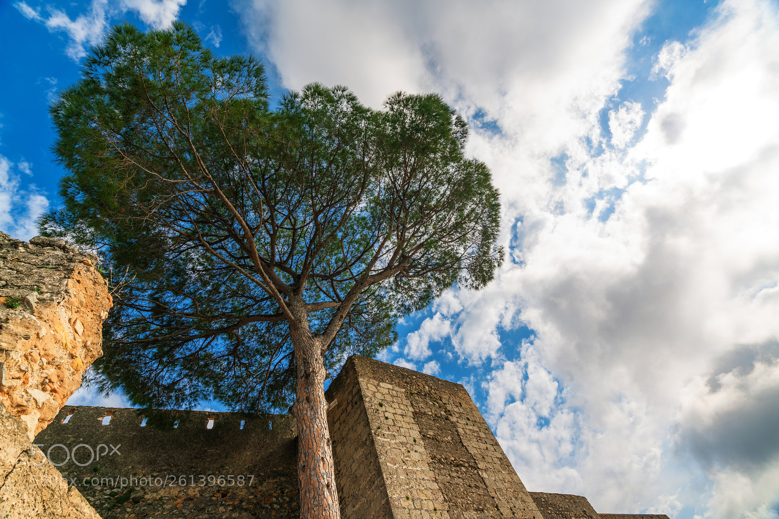 Sony a7R II sample photo. The medieval castle of photography