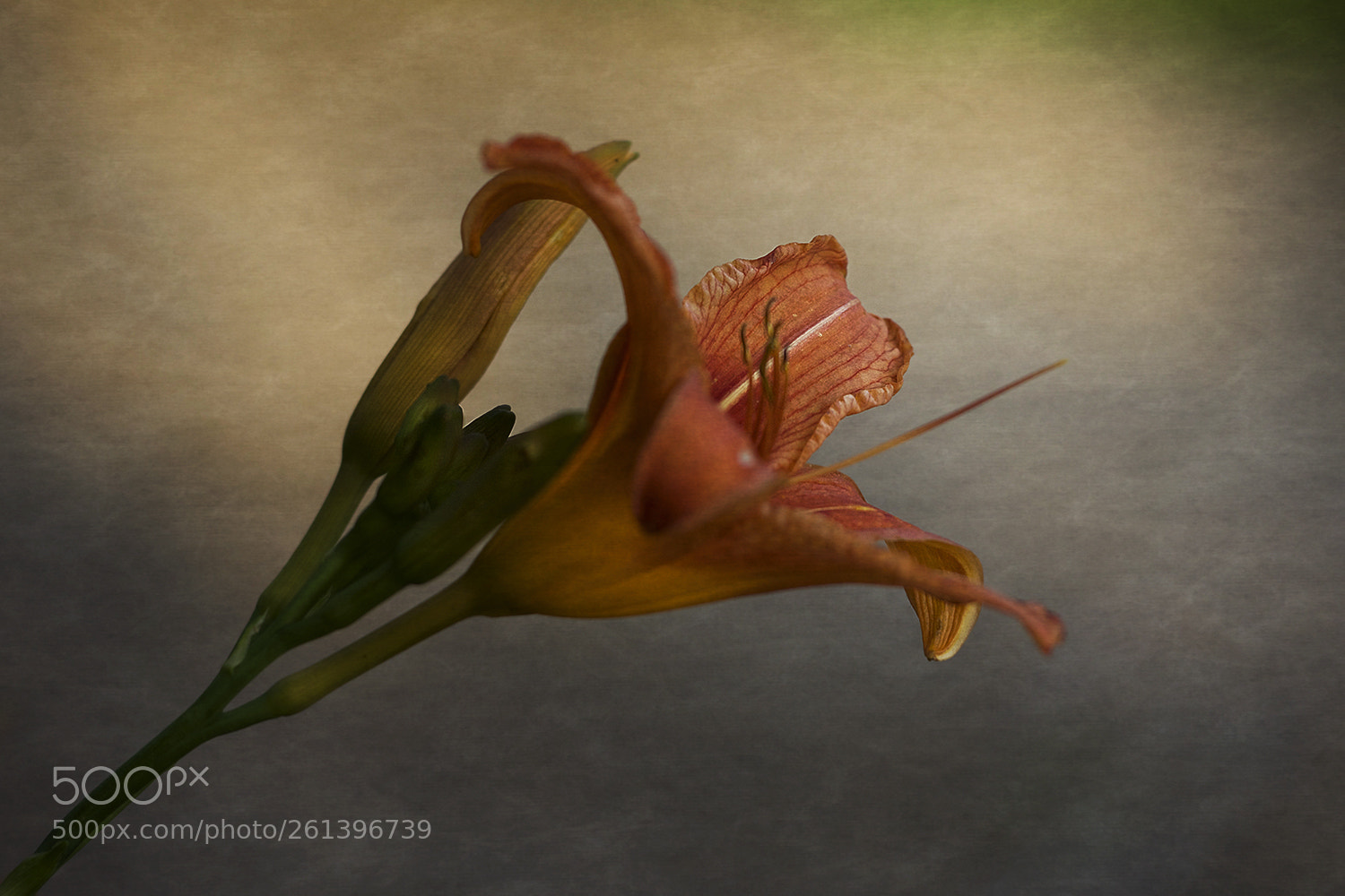 Canon EOS 7D Mark II sample photo. Ballet photography