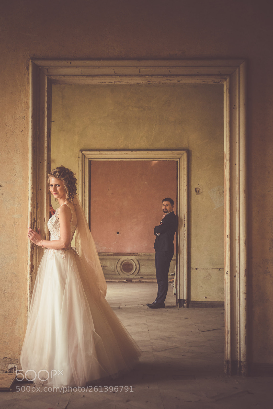 Nikon D800 sample photo. Palace doors photography