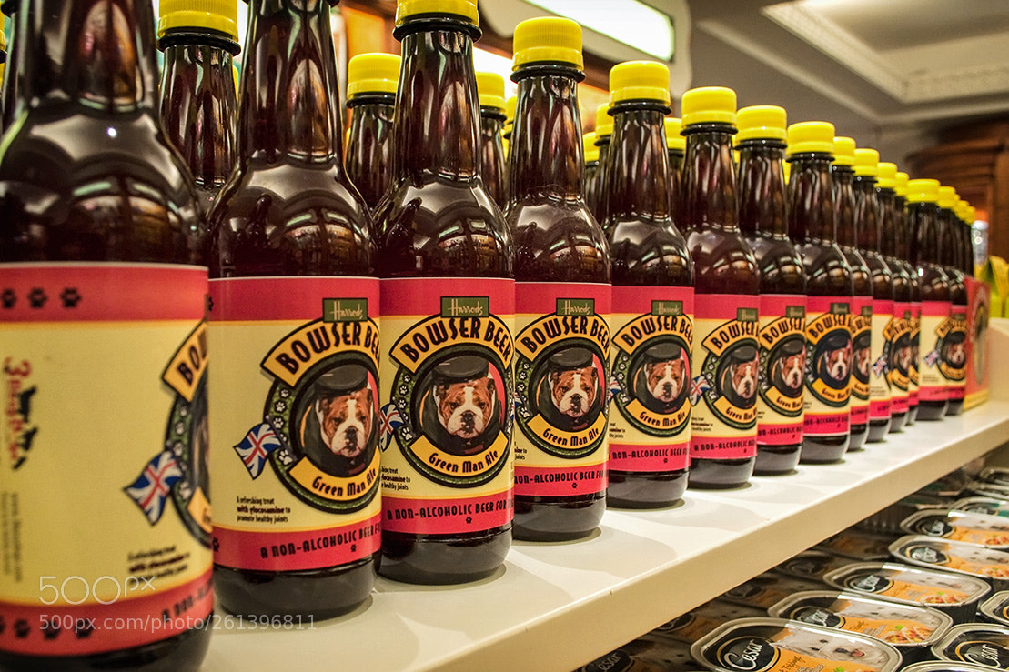 Nikon D5000 sample photo. Long live the beer photography
