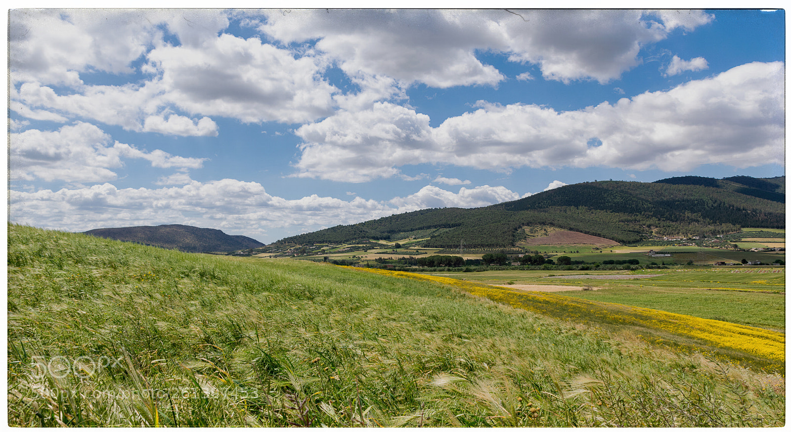 Nikon D5300 sample photo. Summer - jendouba photography