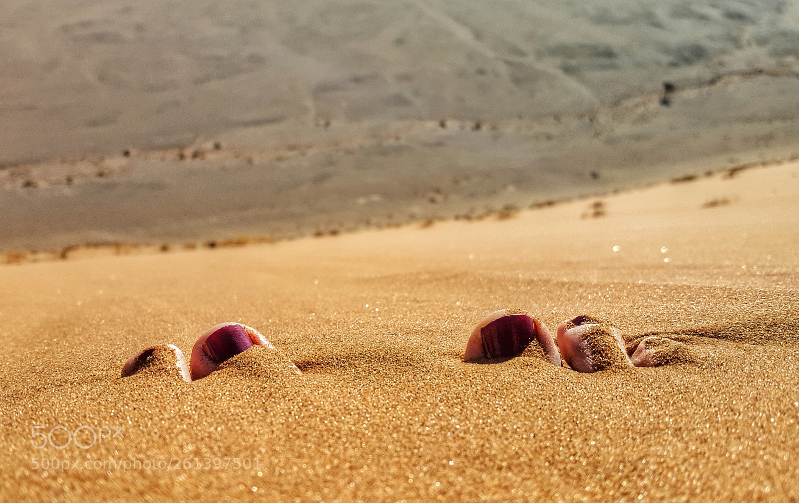 Samsung Galaxy S6 sample photo. Sand photography