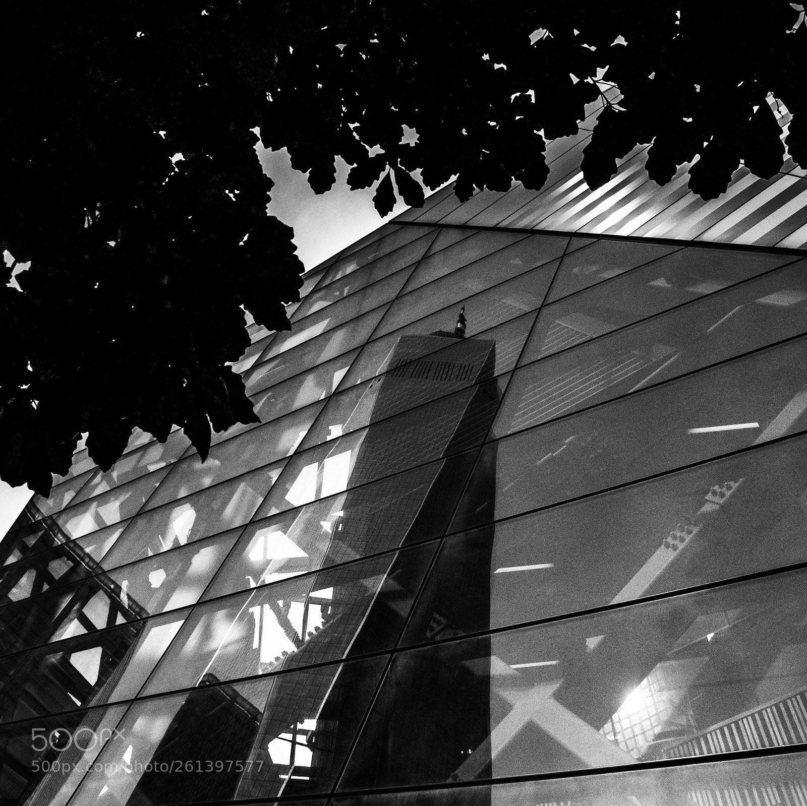 Nikon D90 sample photo. Reflect photography