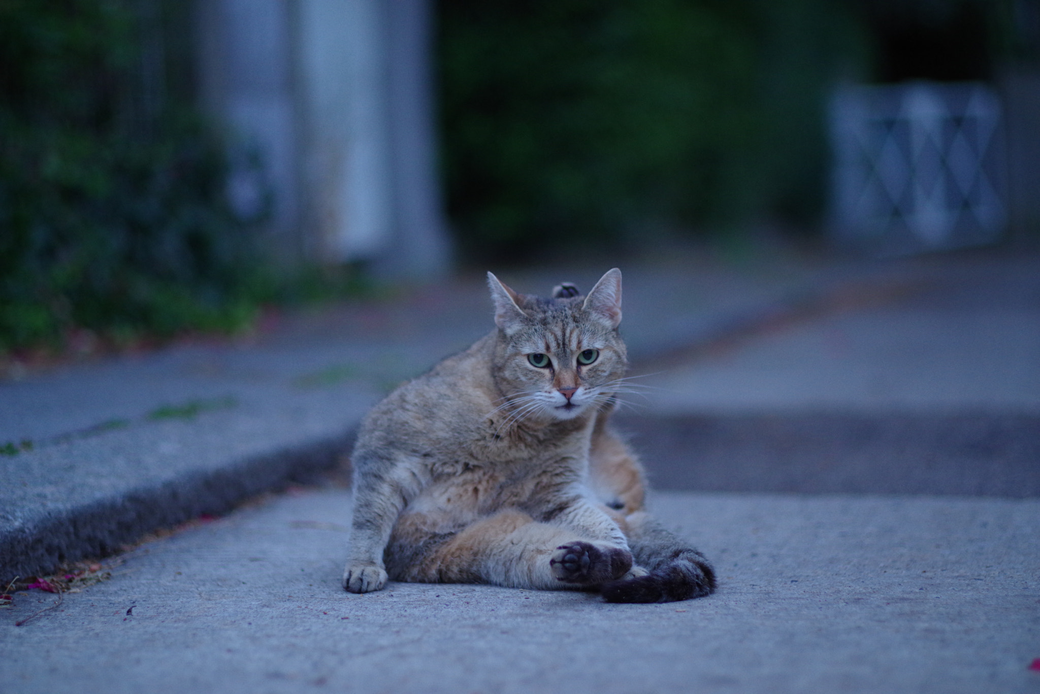 Pentax K-1 Mark II sample photo