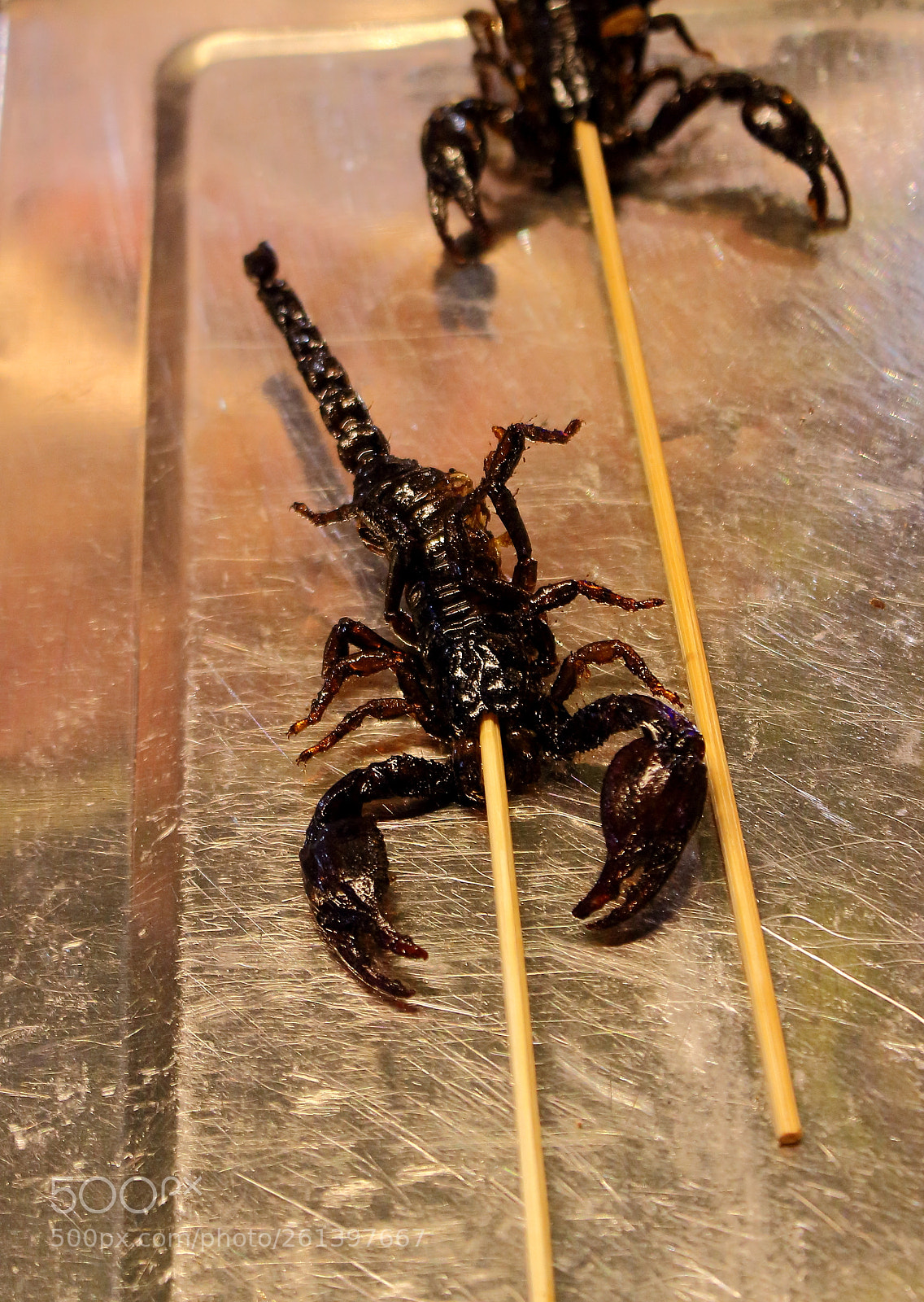 Canon EOS 100D (EOS Rebel SL1 / EOS Kiss X7) sample photo. Scorpion kebab on street photography