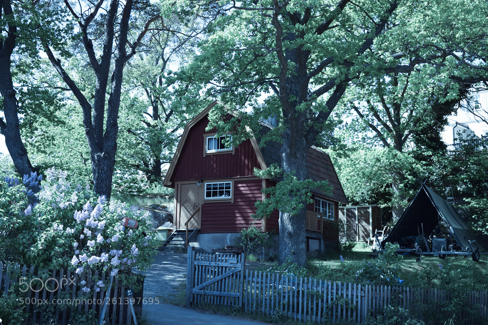 Nikon D5300 sample photo. Swedish cottage photography