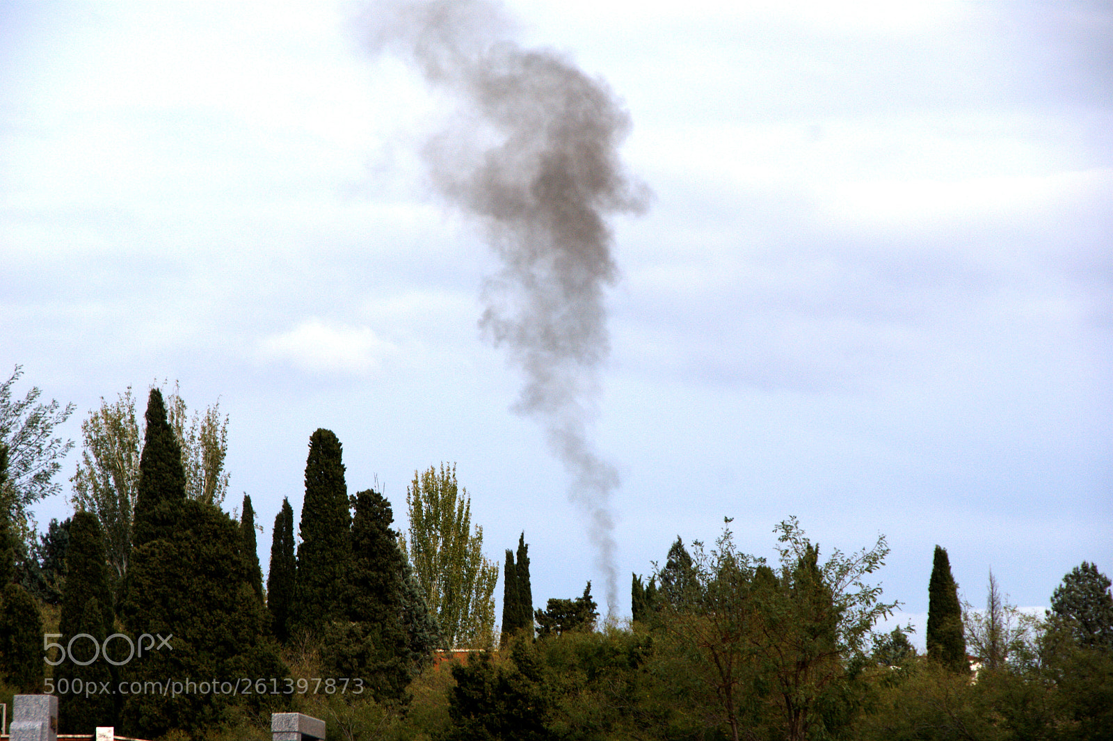 Sony Alpha DSLR-A350 sample photo. Polvo eres y en photography