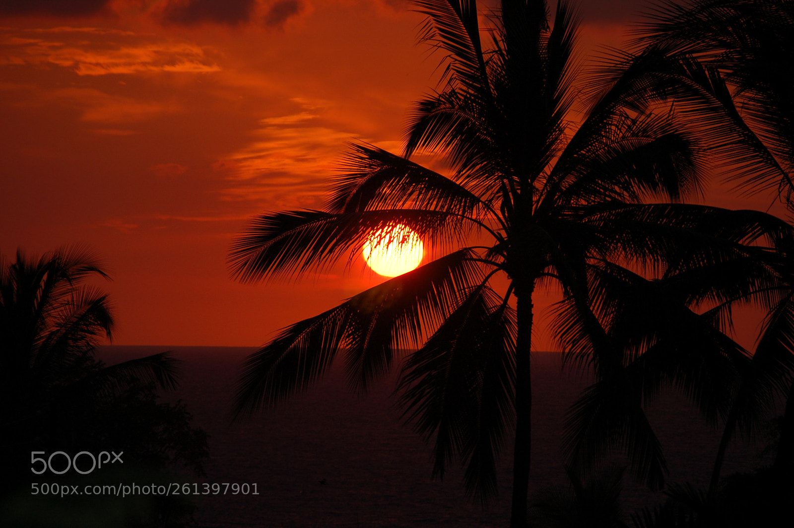 Nikon D50 sample photo. Sunset photography