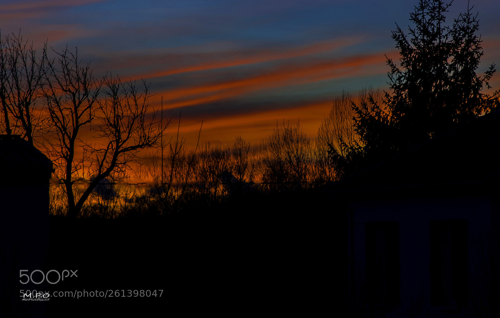 Nikon D7200 sample photo. Untitled photography