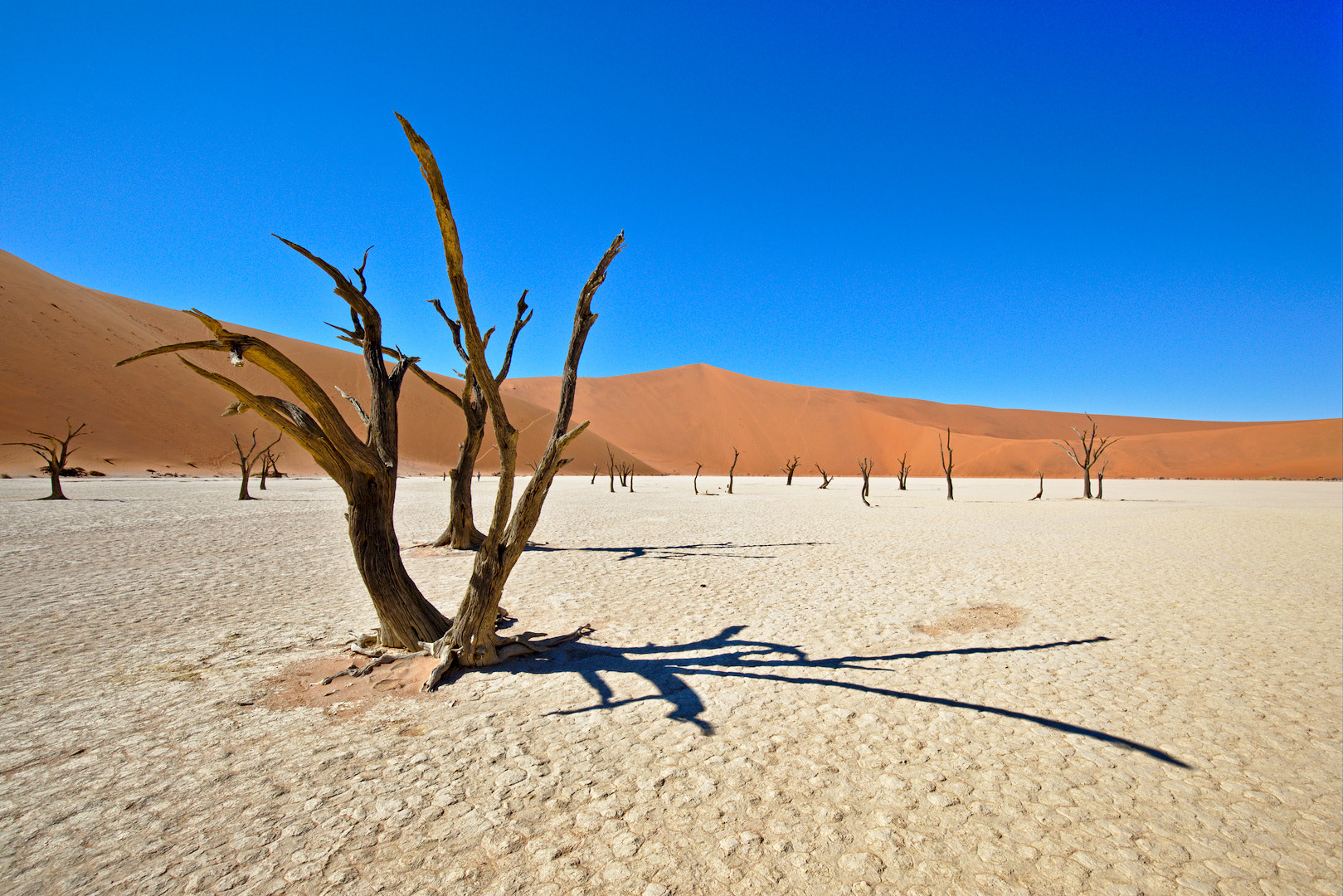 Canon EF 16-35mm F4L IS USM sample photo. 100% dry (deadvlei, namibia) photography