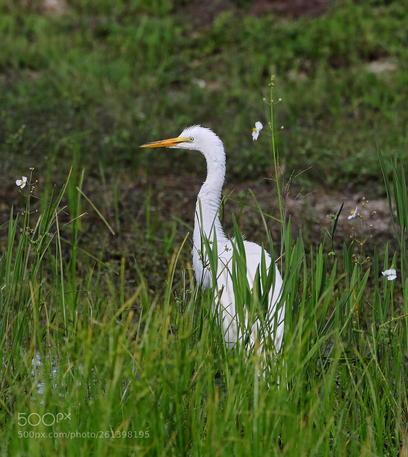 Canon EOS-1D X Mark II sample photo. 06-08-18-0021656.jpg photography