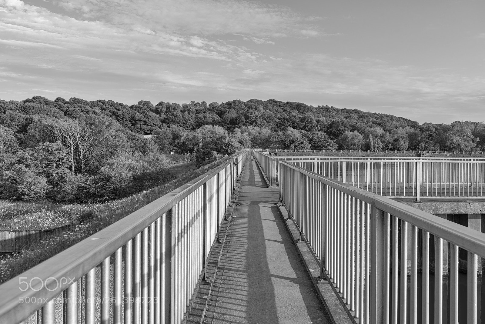 Sony a7R II sample photo. Converging lines photography
