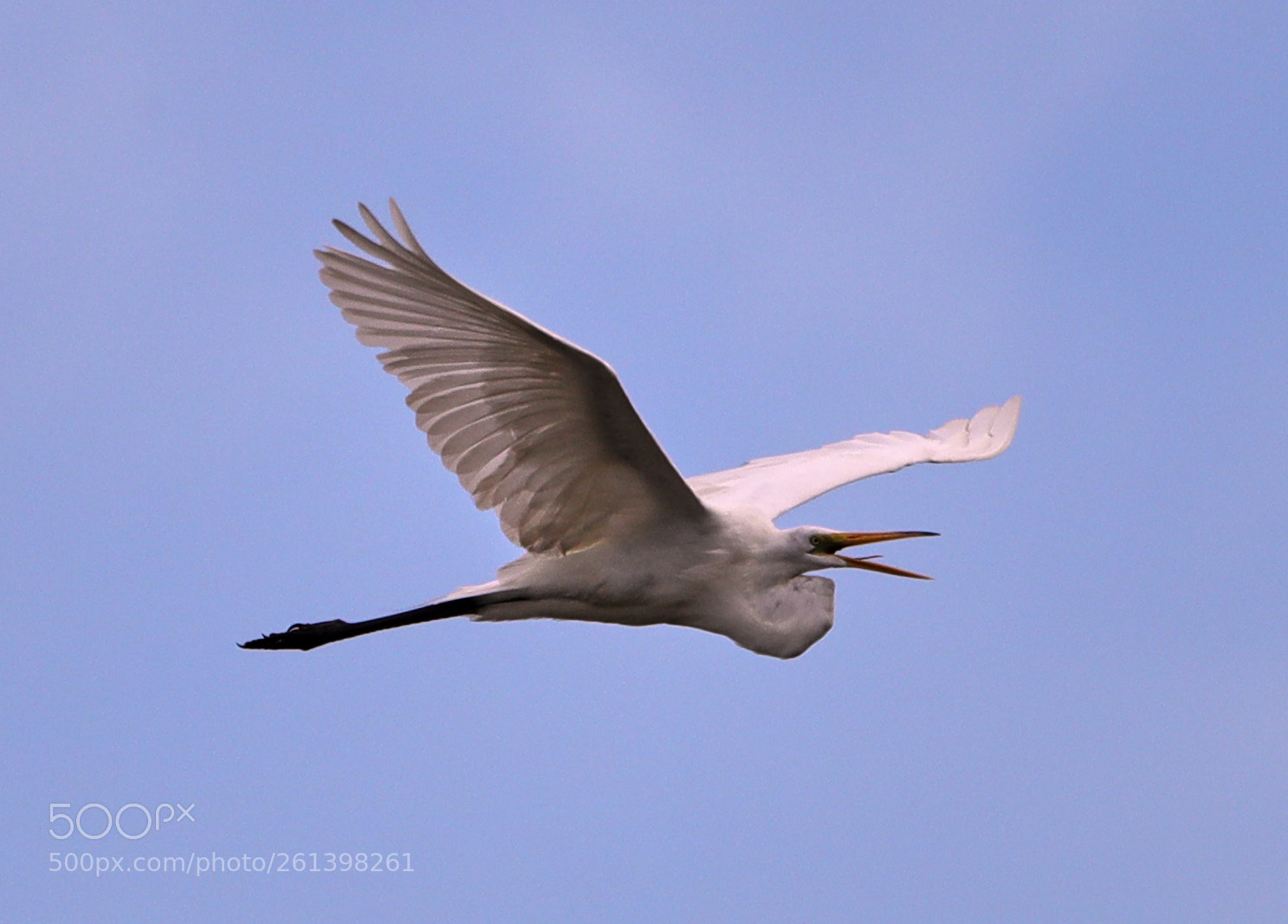 Canon EOS-1D X Mark II sample photo. 06-08-18-0021705.jpg photography