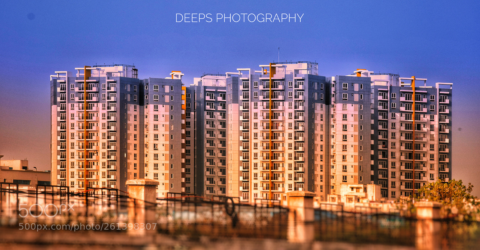 Nikon D3300 sample photo. Asv alexandria photography