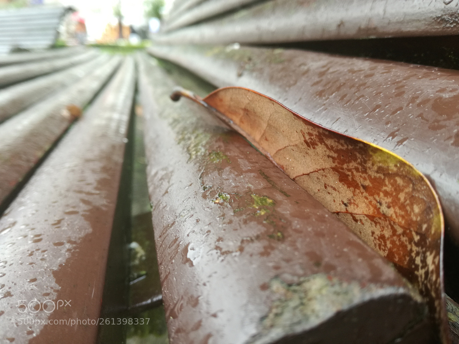 HUAWEI P9 LITE sample photo. Lines photography