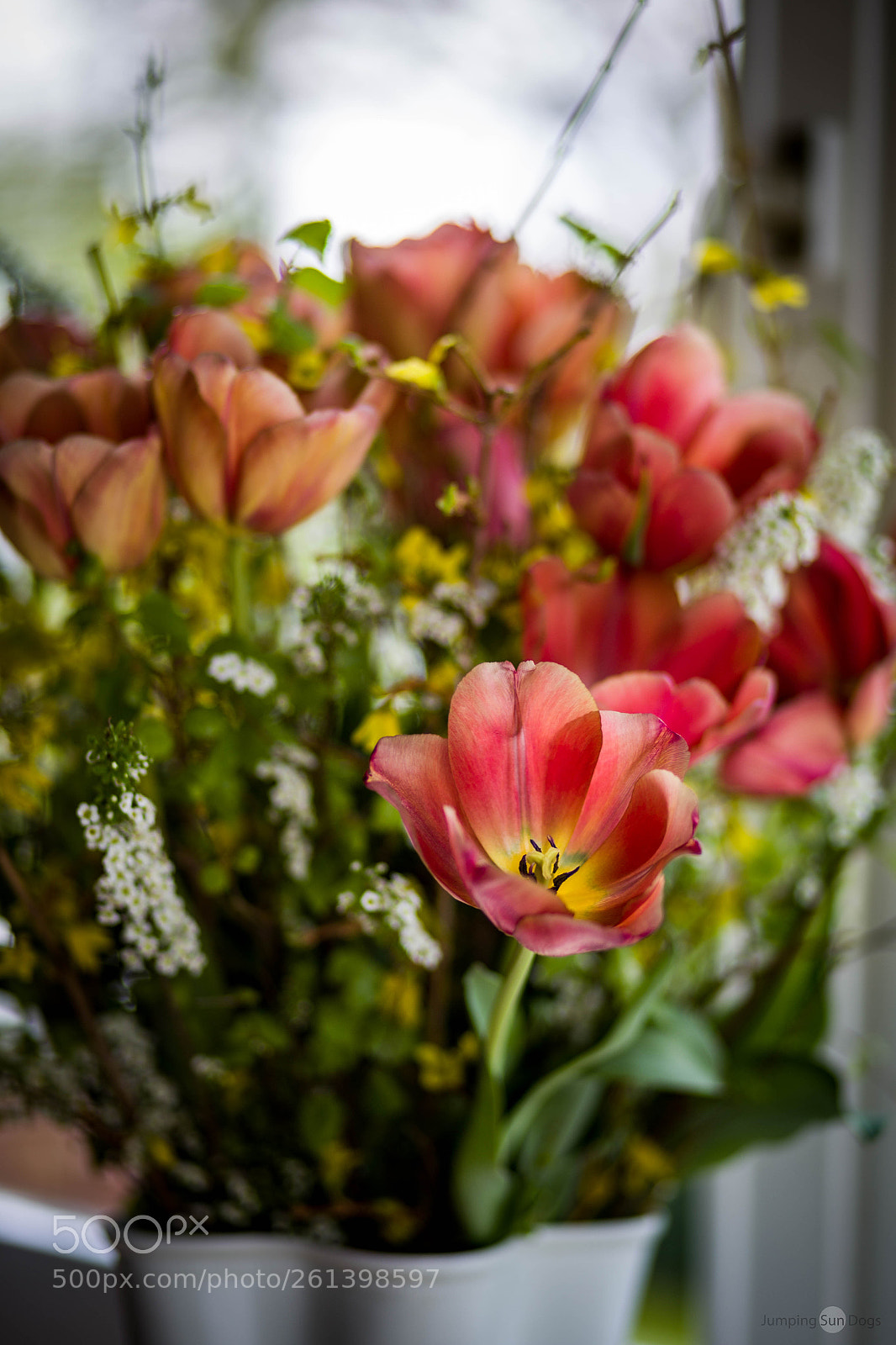 Canon EOS 6D sample photo. Flowers photography