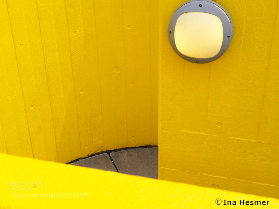 Olympus OM-D E-M10 II sample photo. Yellow photography