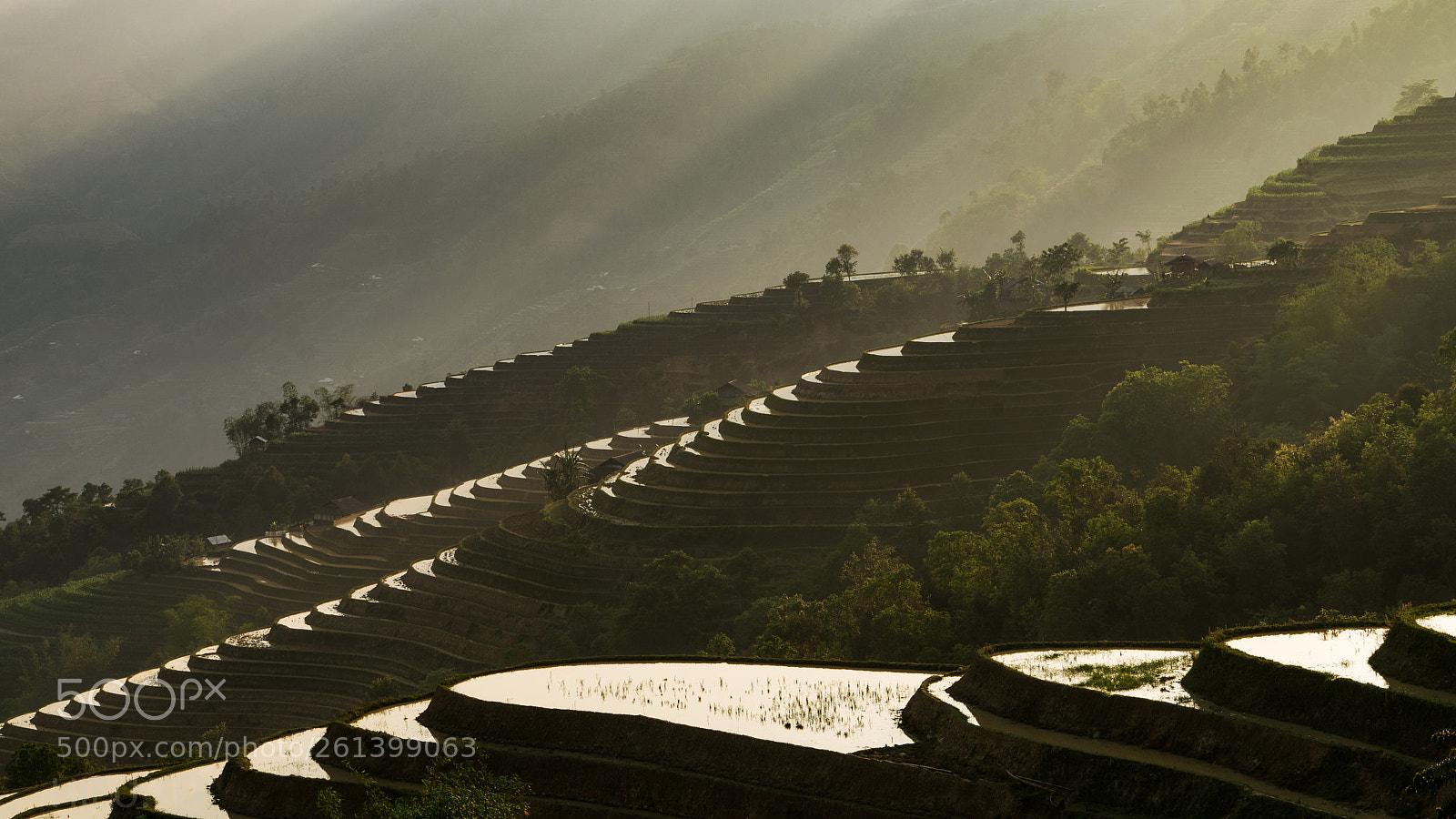 Sony a7R II sample photo. Water terraced fields in photography