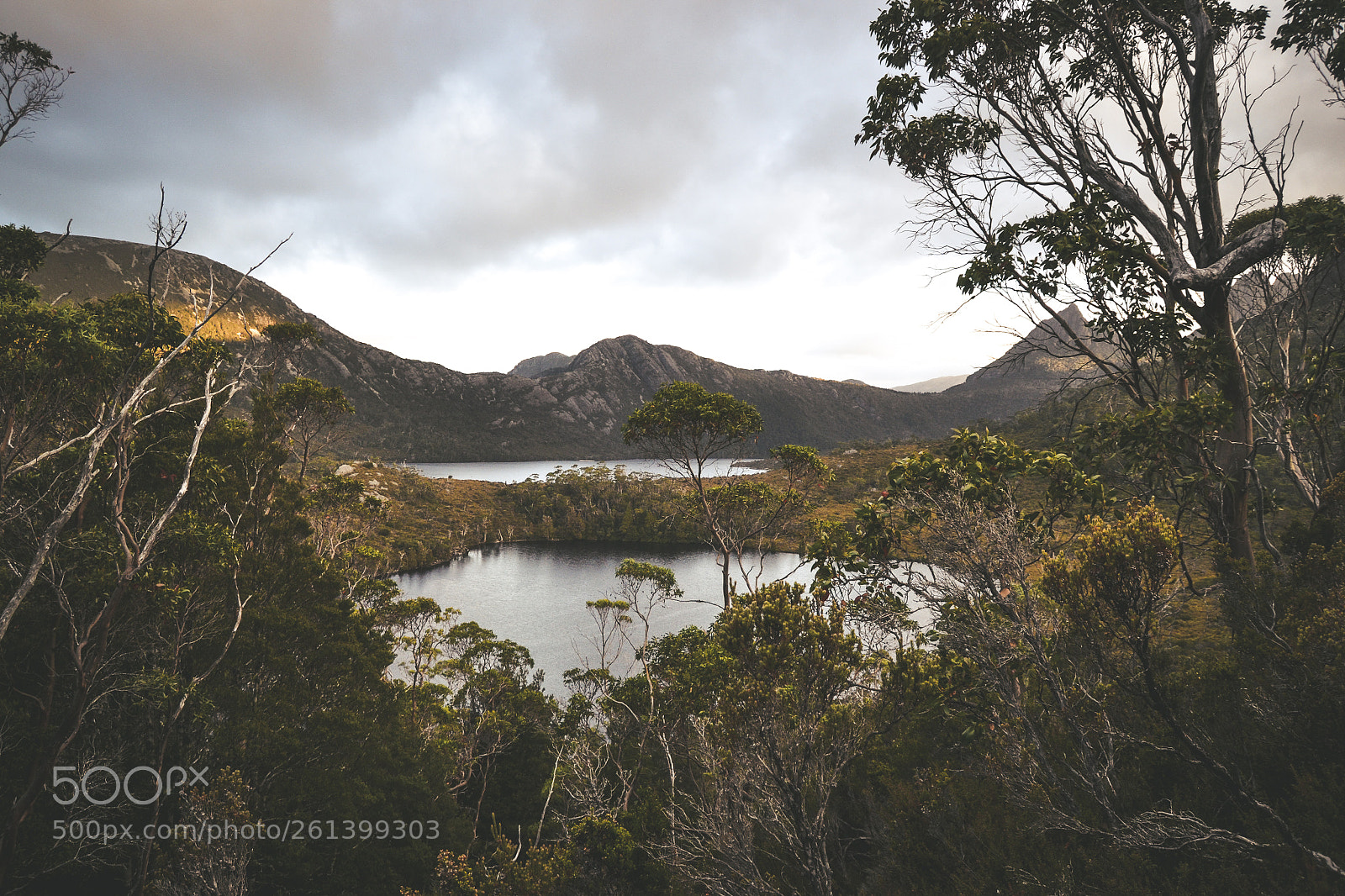 Nikon D3100 sample photo. Tasmania photography