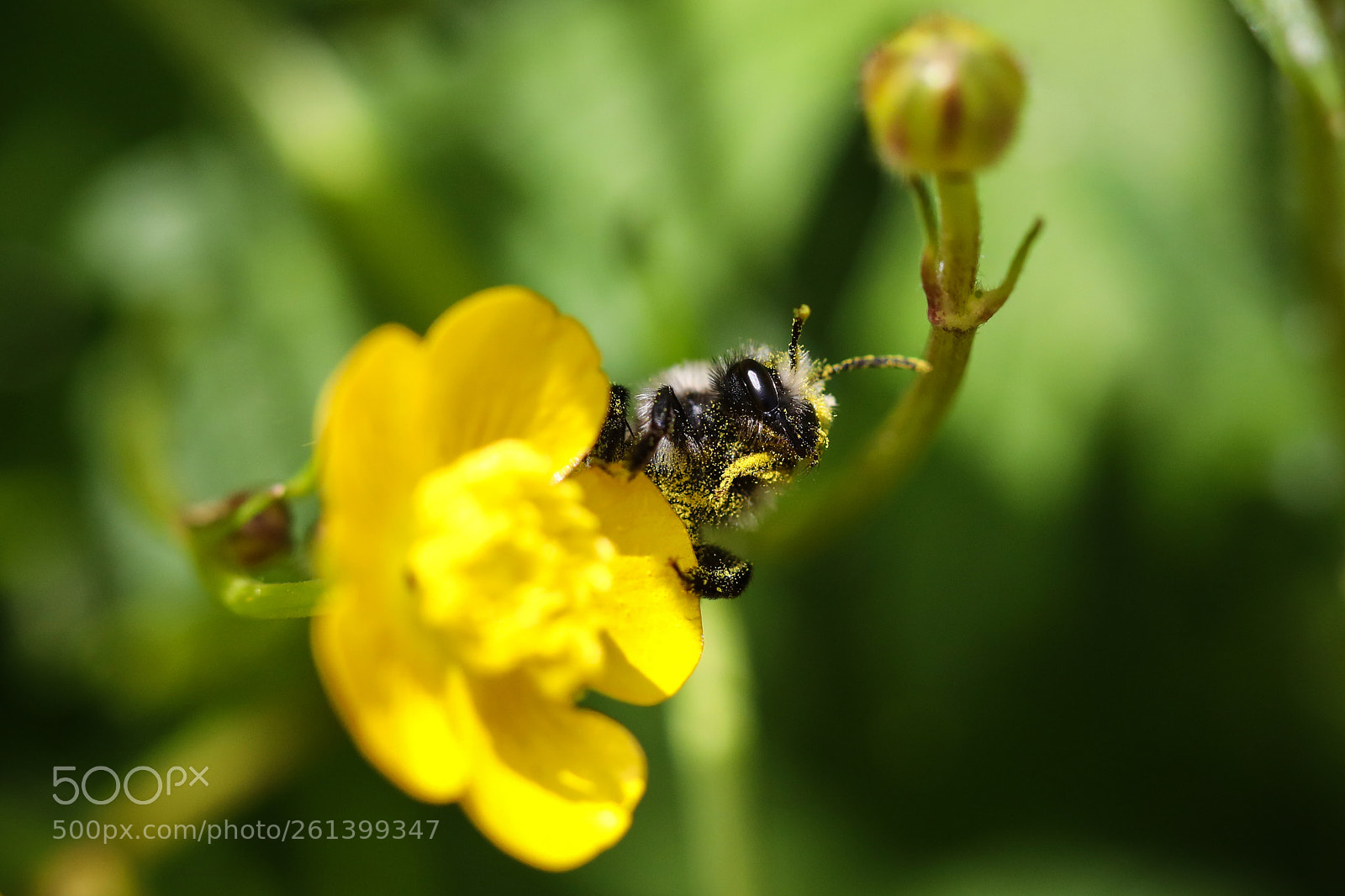 Canon EOS 5D Mark IV sample photo. When you go to photography