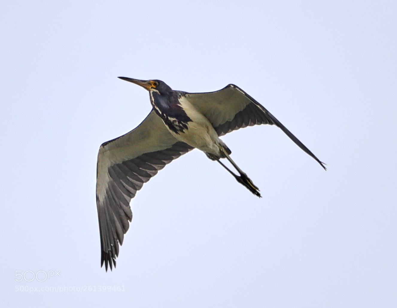 Canon EOS-1D X Mark II sample photo. 06-08-18-0021747.jpg photography