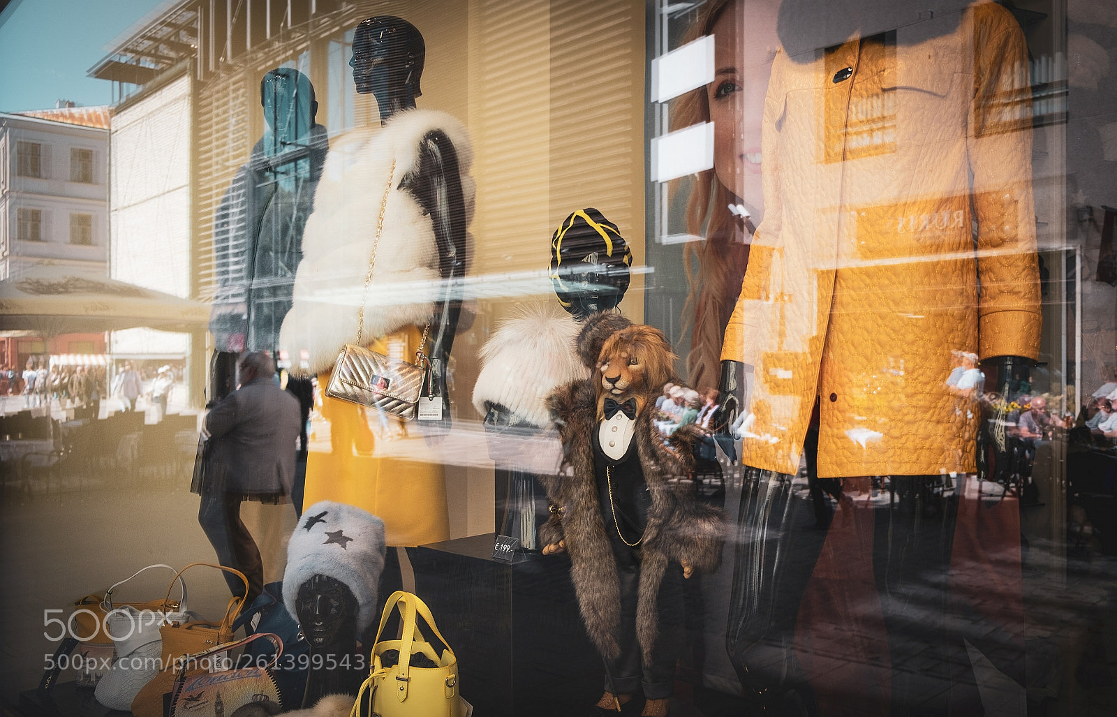 Fujifilm X-T20 sample photo. Ladies and lions photography