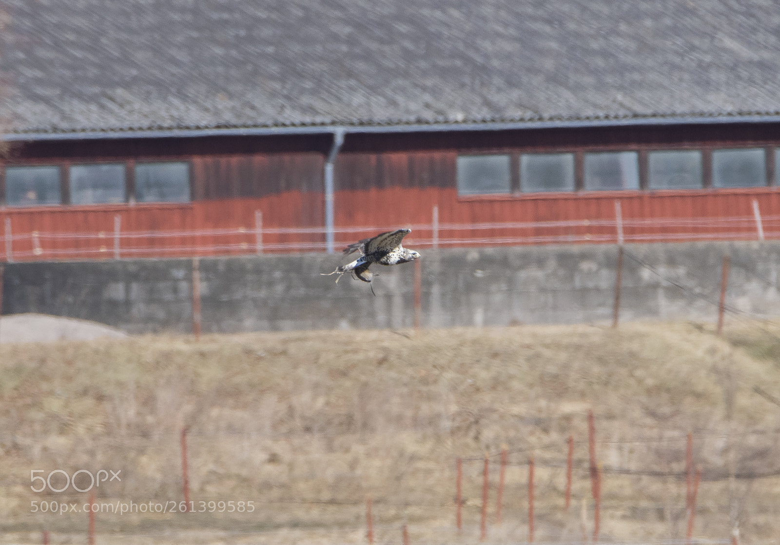 Nikon D5300 sample photo. Aa photography