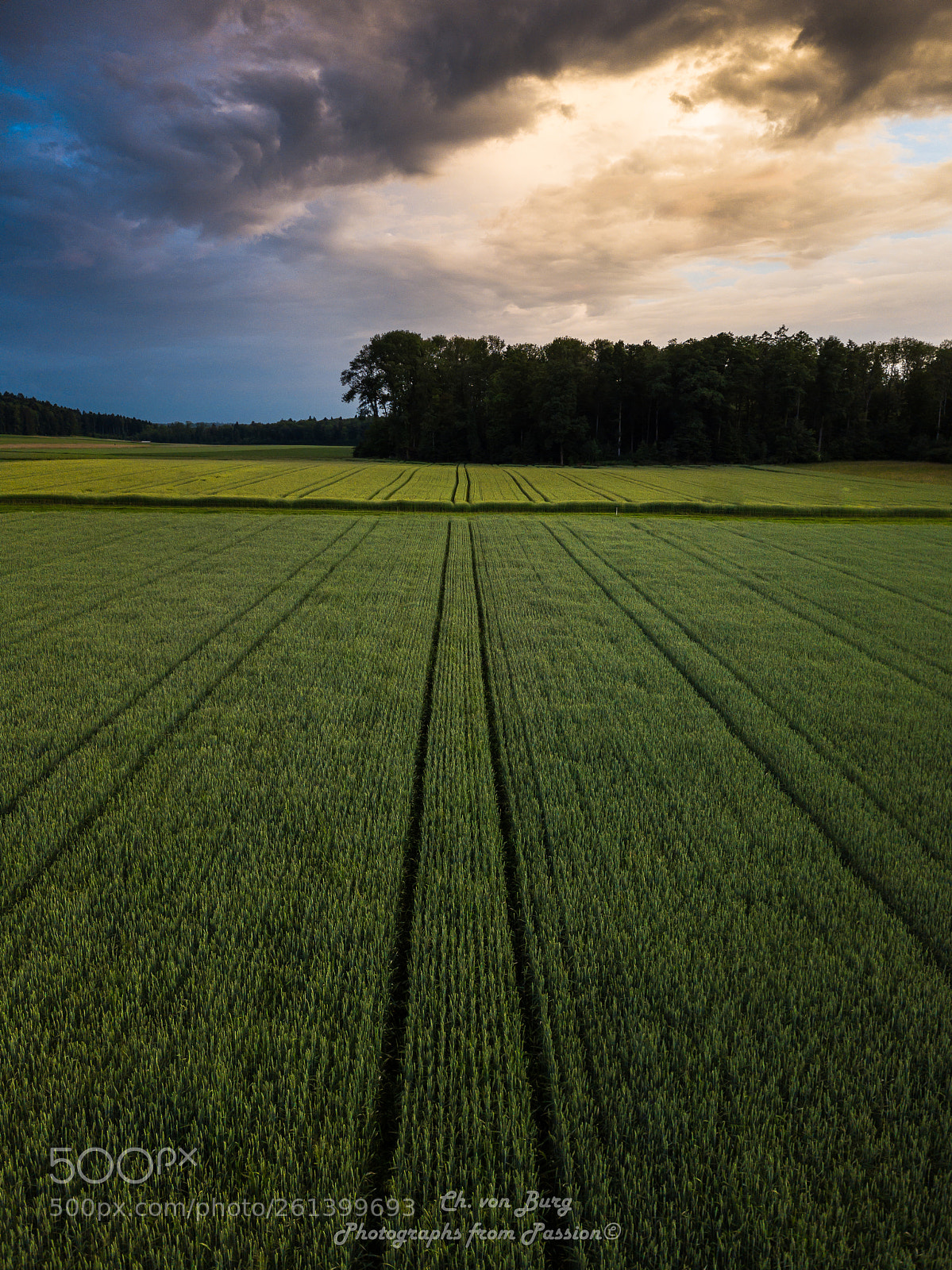 DJI FC220 sample photo. Lines photography