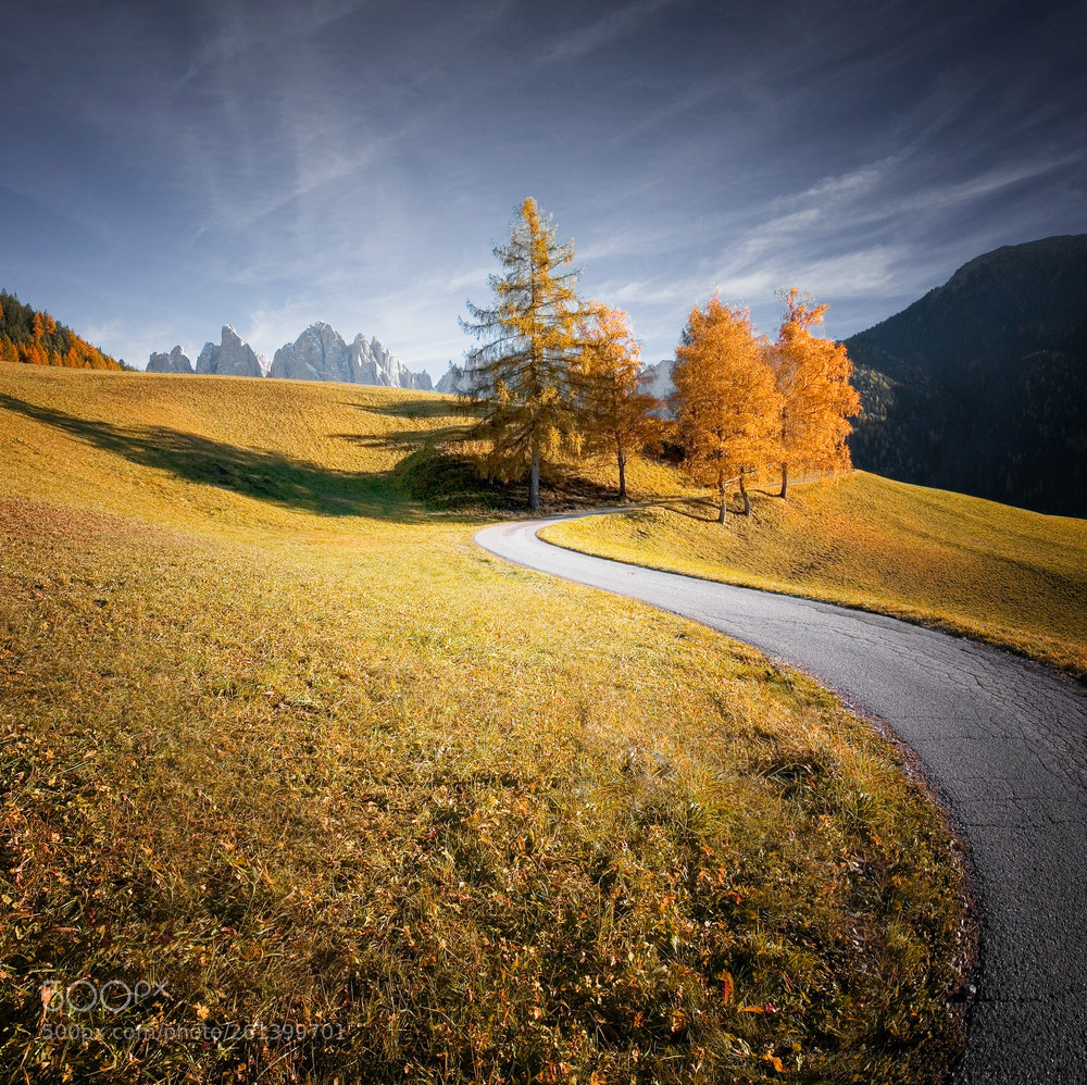 Canon EOS 6D sample photo. Curvy photography