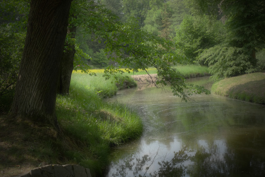 Fujifilm X-E1 sample photo. .. photography