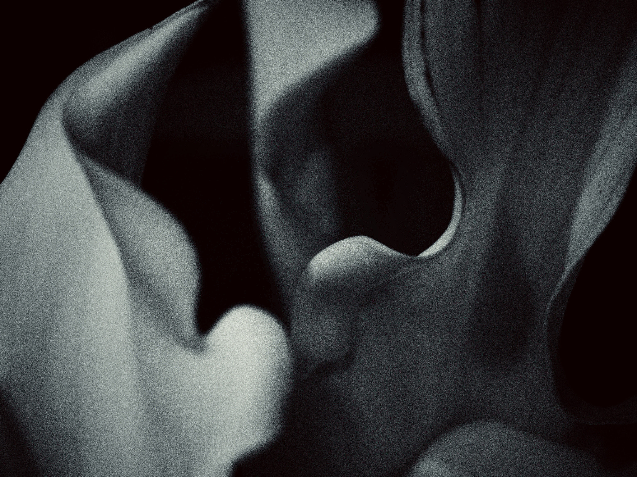 Olympus PEN E-PL6 sample photo. Curves photography
