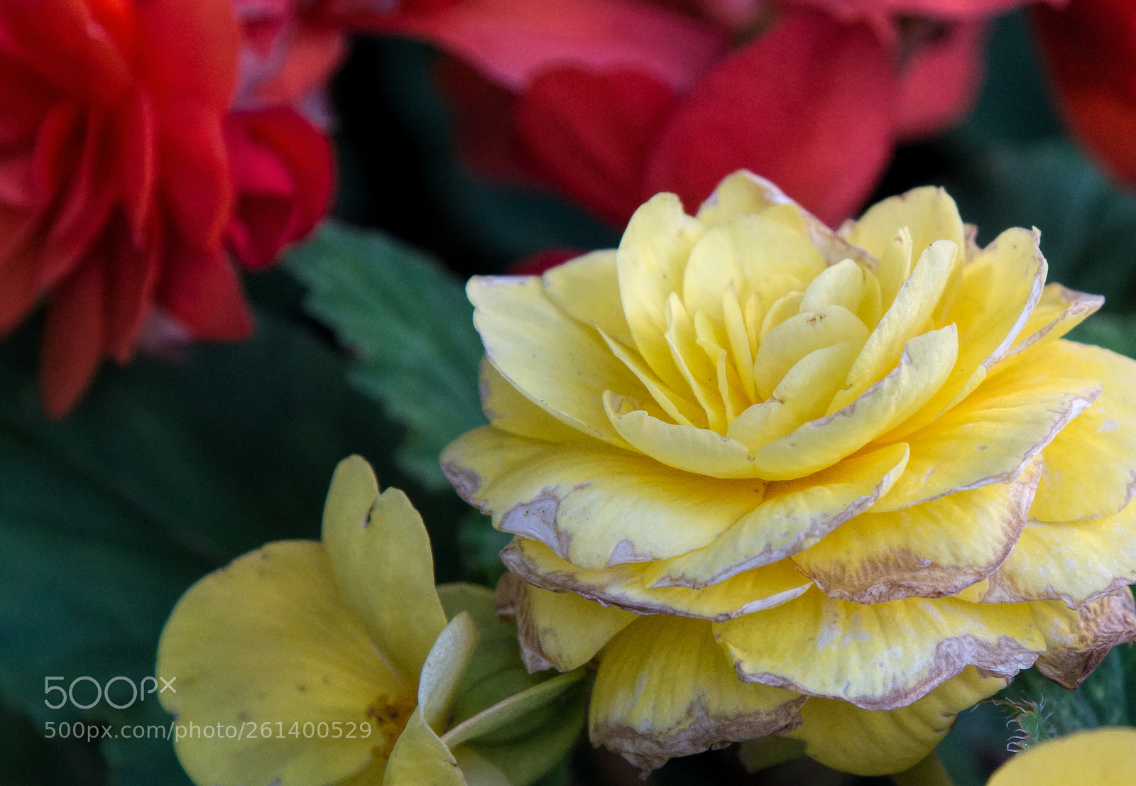 Nikon D610 sample photo. Serenity 01 photography