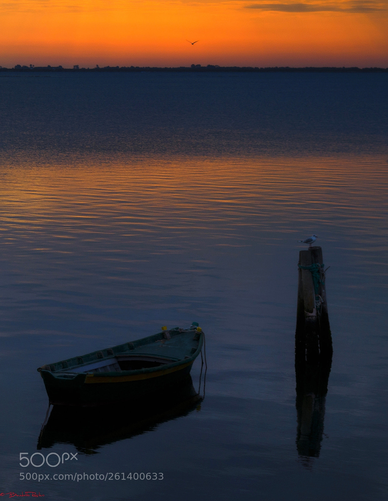 Nikon D5100 sample photo. Atmosfere sul delta..... photography
